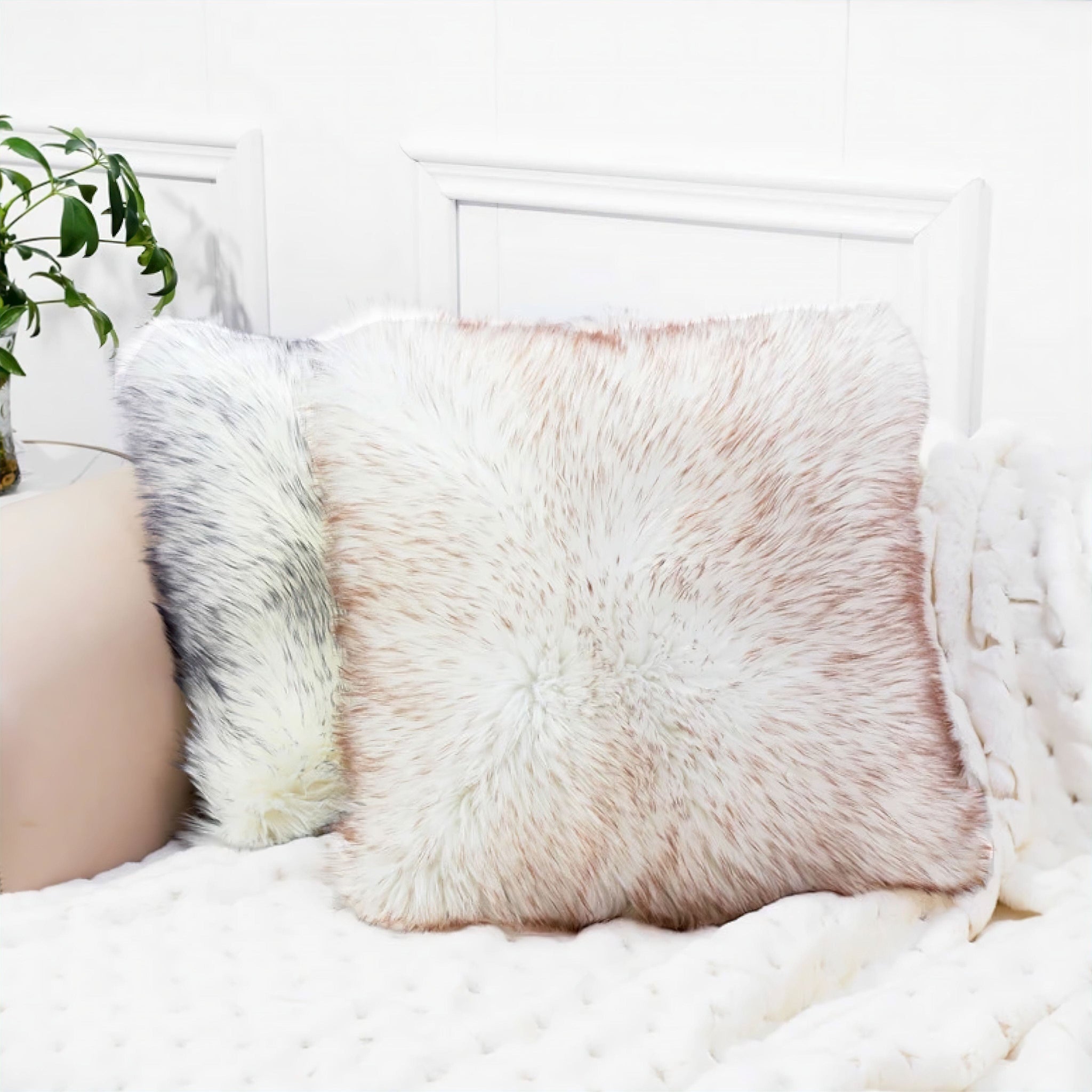 Alexandre Cushion Cover Pillow Case 3 45 x 45cm 