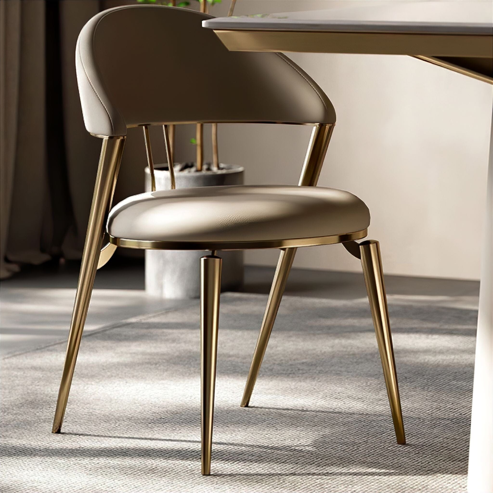 Aurelie Dining Chairs Chair 