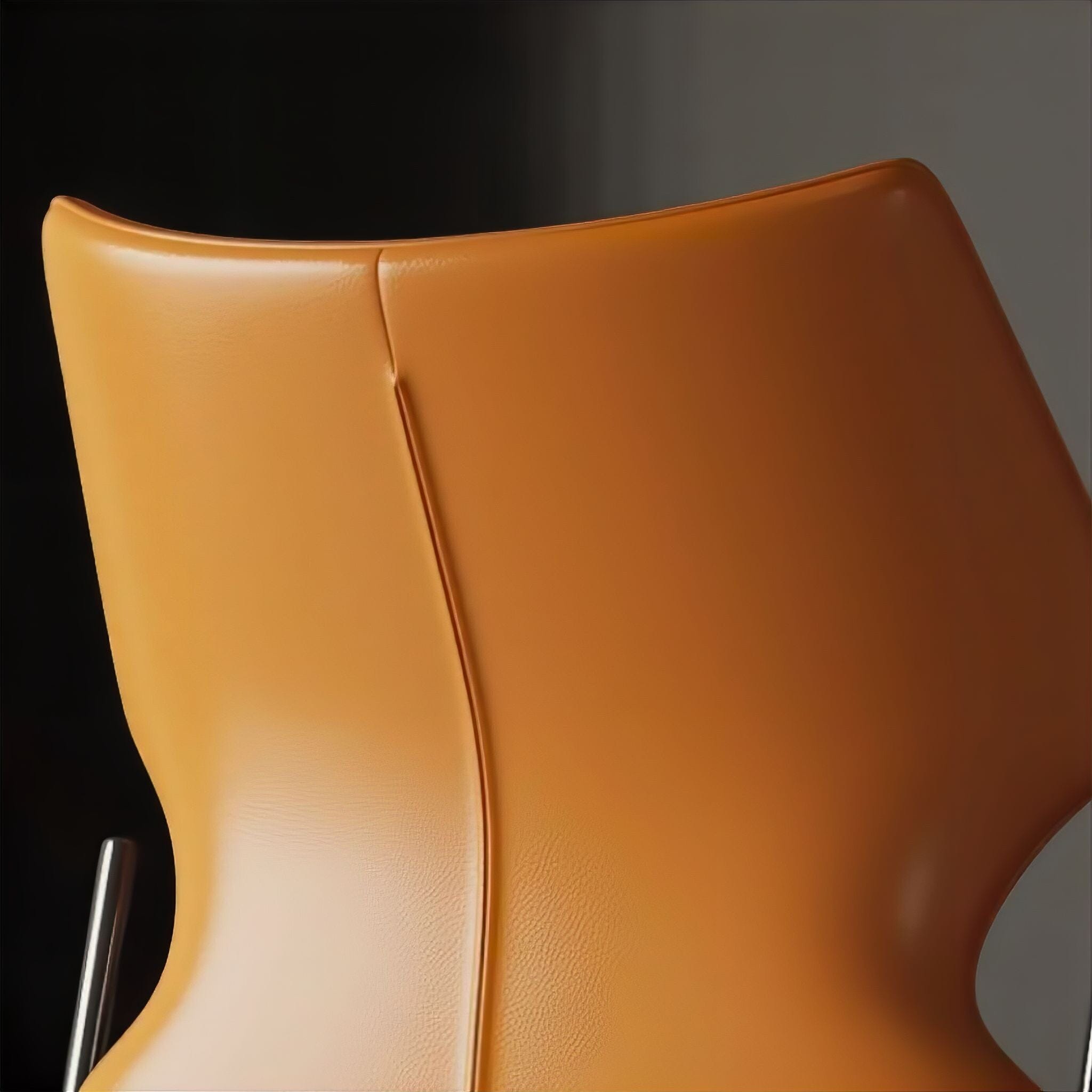 Colette Dining Chairs Chair 