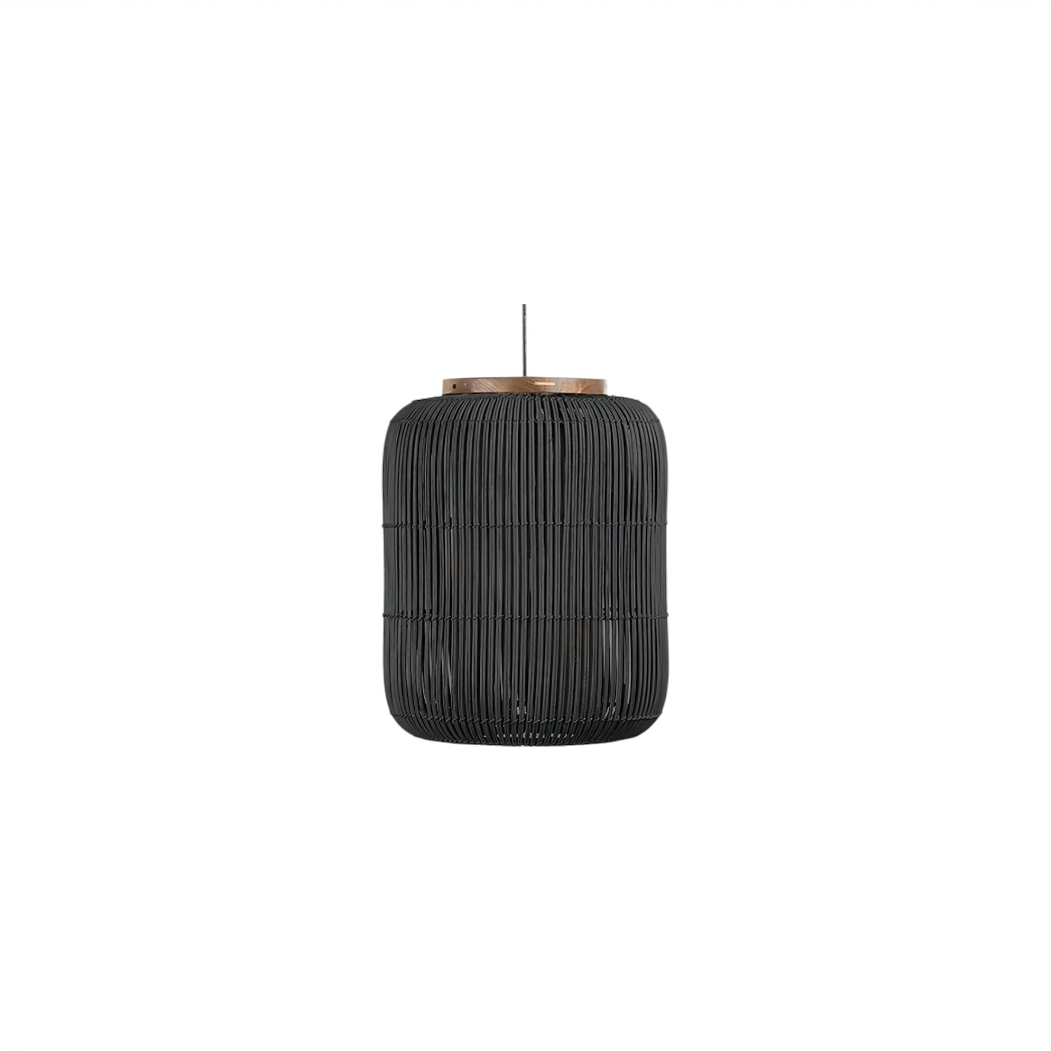 Eva Pendant Light (JS) Black M Neutral light