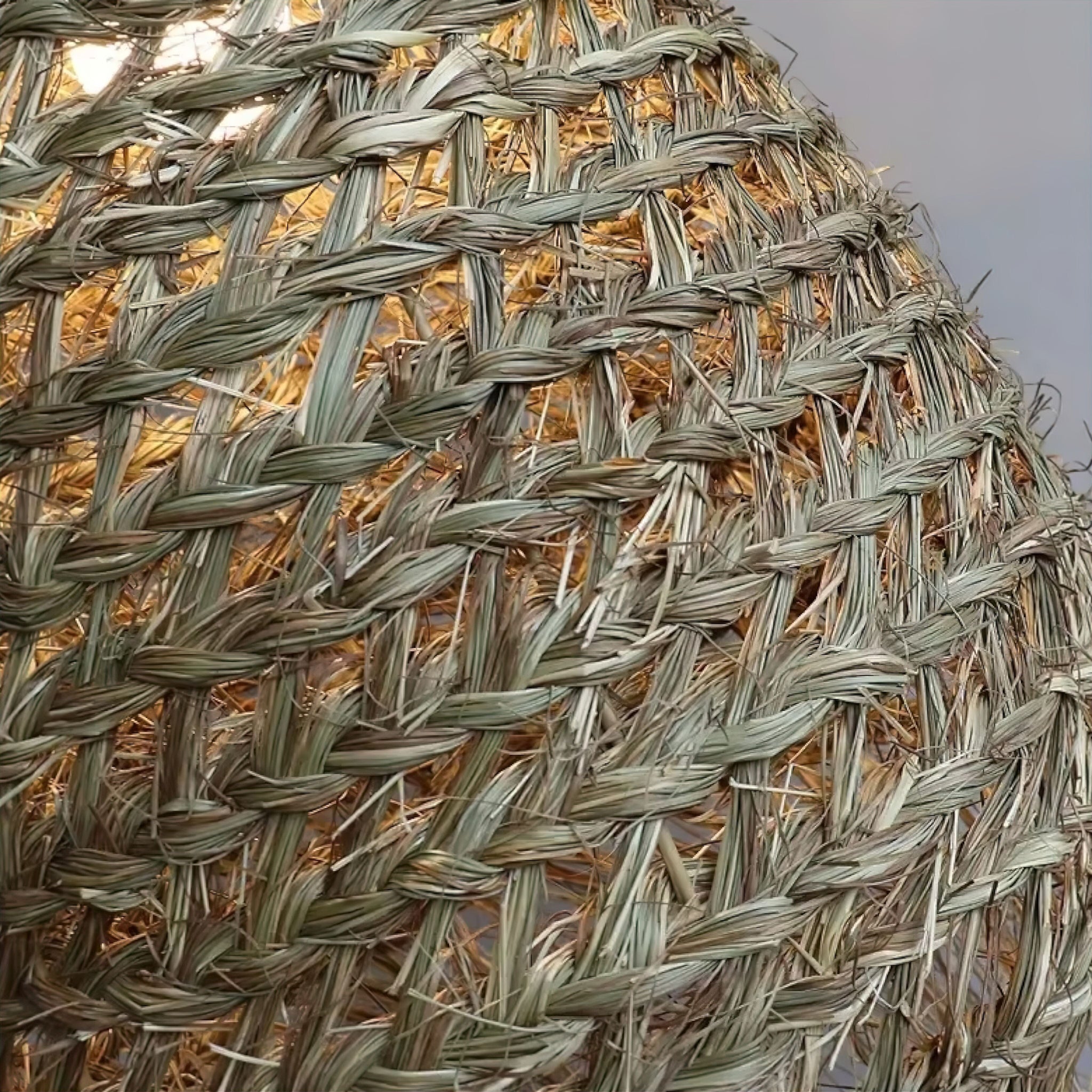 Miriam Rattan Pendant Light 