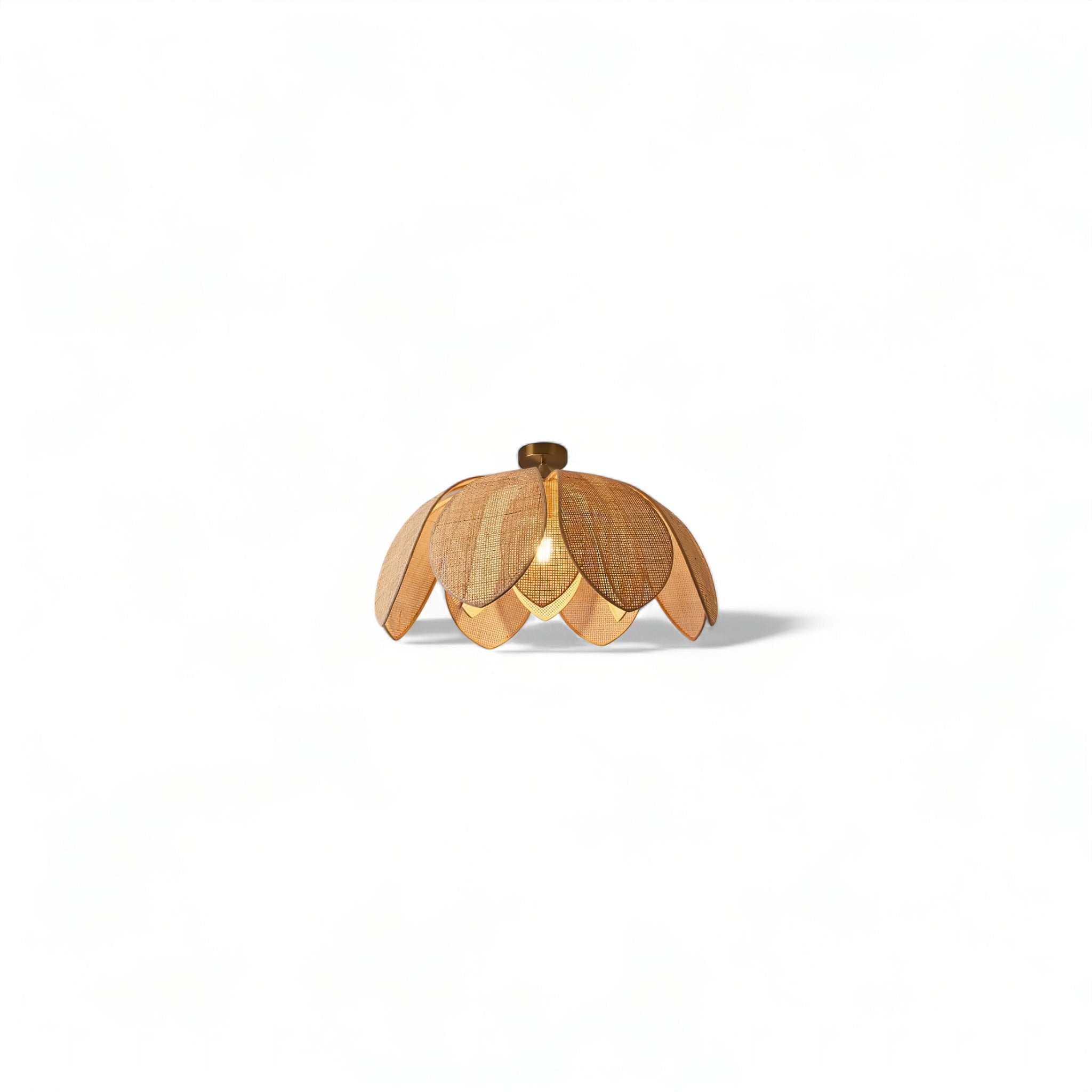 Tullia Light (JS) two variant added Ceiling Light 45cm 