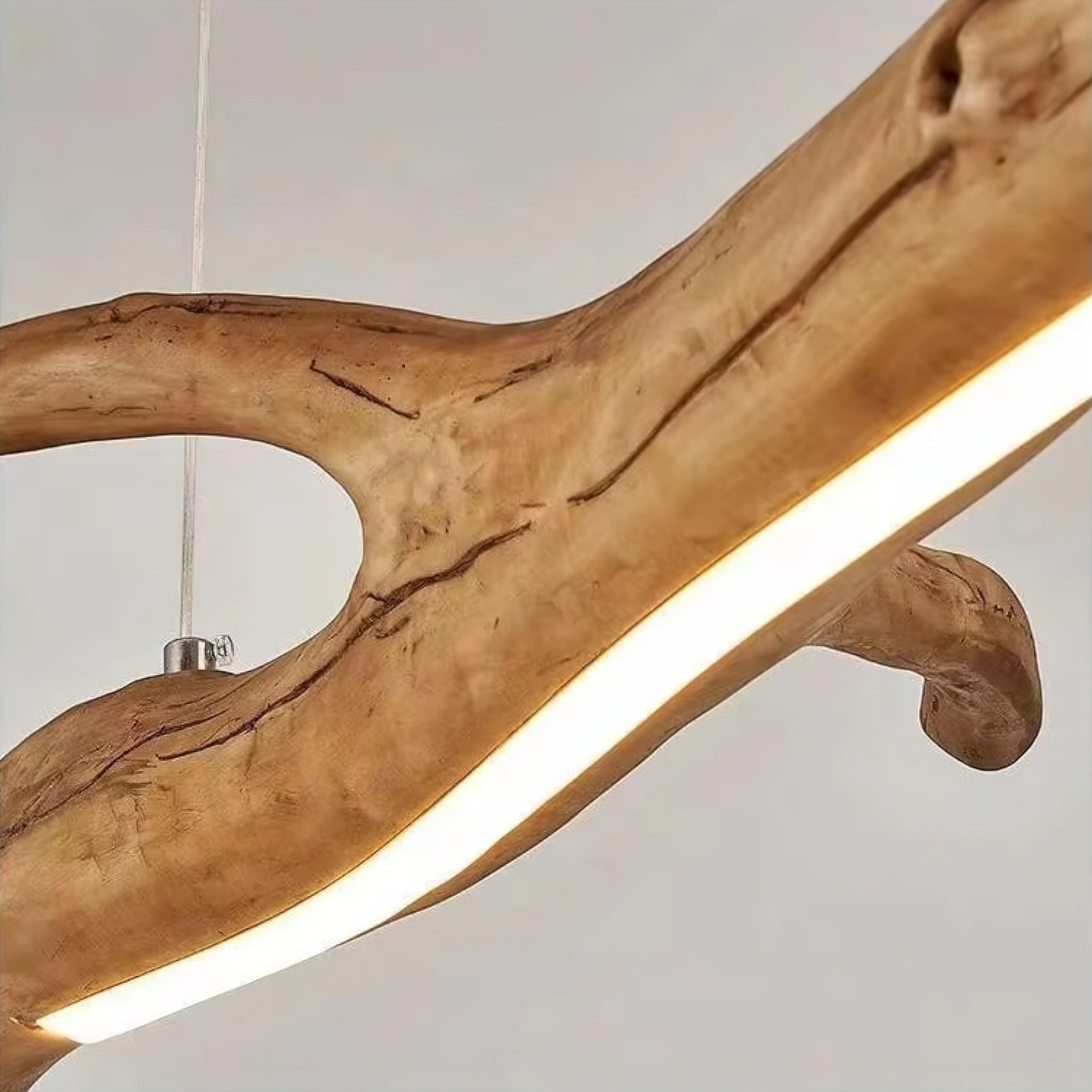 Vanessa Pendant Light (JS) 